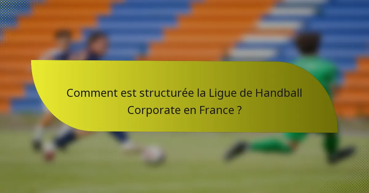 Comment est structurée la Ligue de Handball Corporate en France ?
