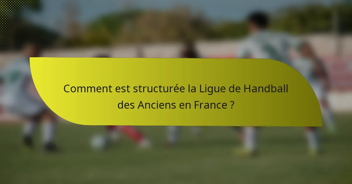 Comment est structurée la Ligue de Handball des Anciens en France ?