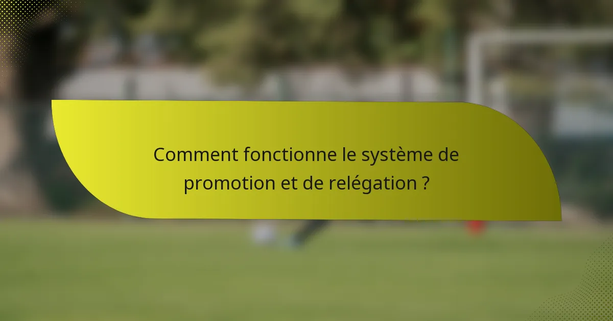 Comment fonctionne le système de promotion et de relégation ?