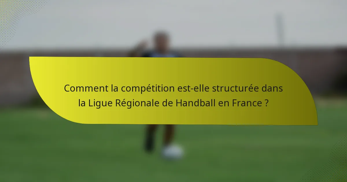 Comment la compétition est-elle structurée dans la Ligue Régionale de Handball en France ?