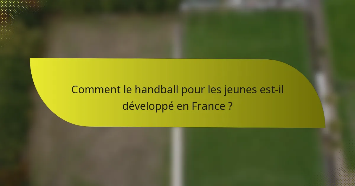 Comment le handball pour les jeunes est-il développé en France ?
