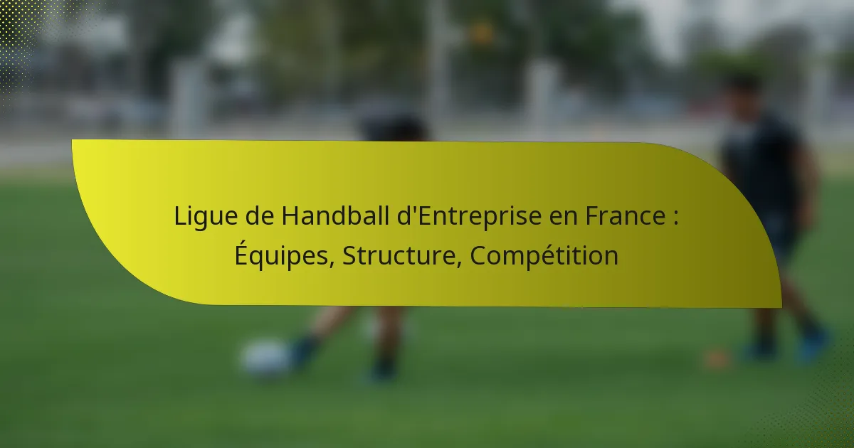 Ligue de Handball d’Entreprise en France : Équipes, Structure, Compétition