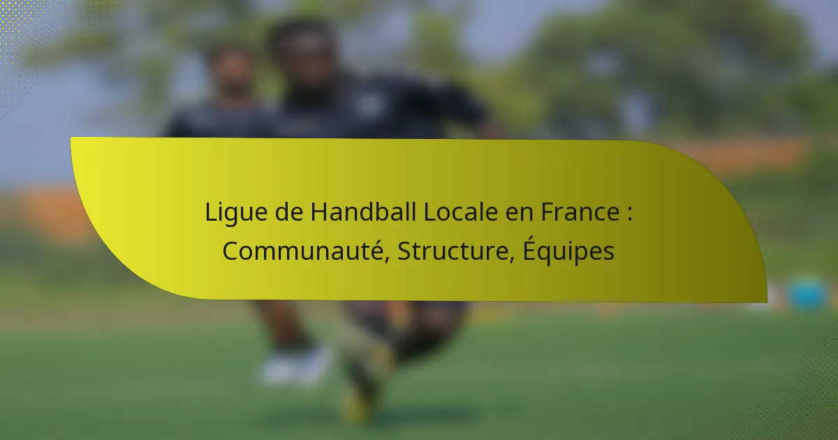 Ligue de Handball Locale en France : Communauté, Structure, Équipes