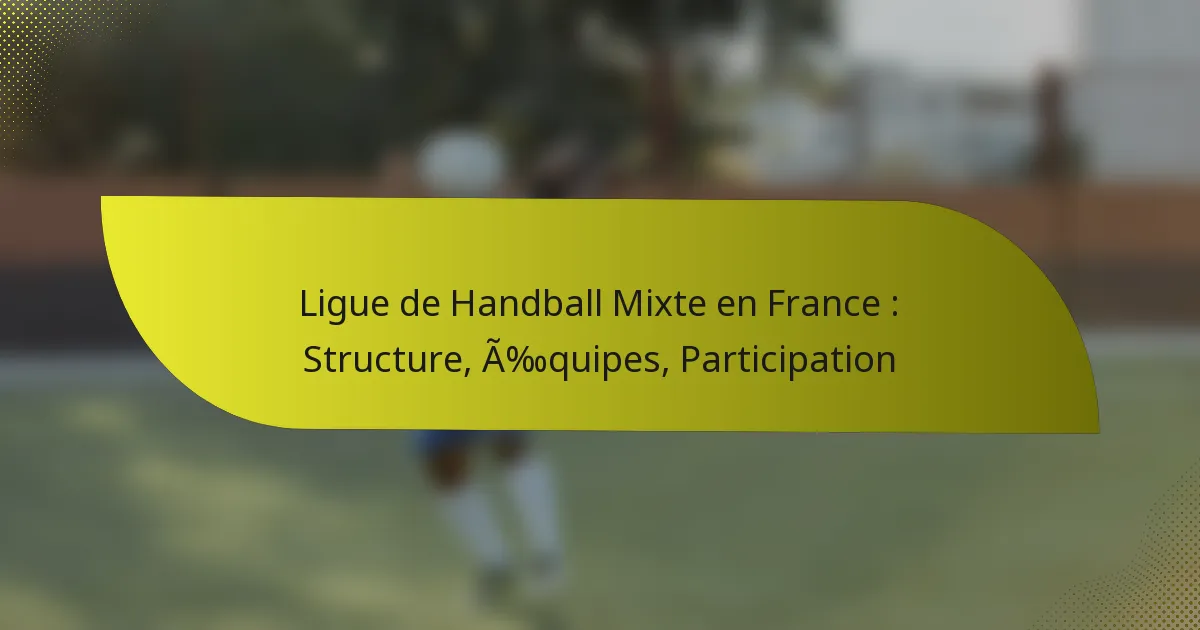 Ligue de Handball Mixte en France : Structure, Équipes, Participation