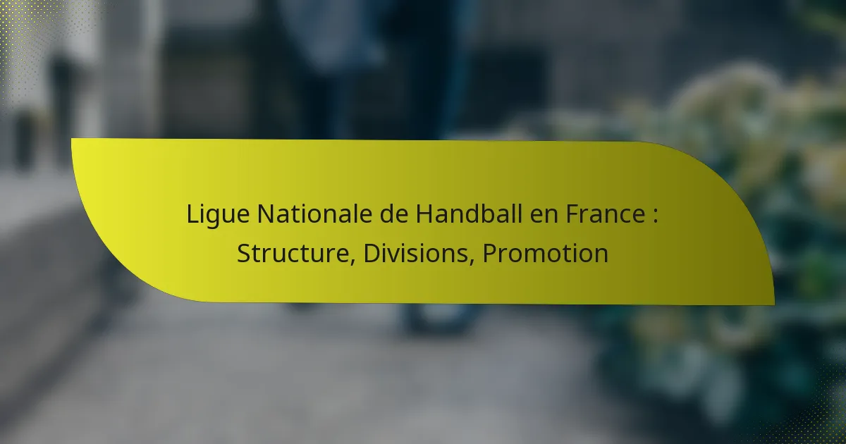Ligue Nationale de Handball en France : Structure, Divisions, Promotion