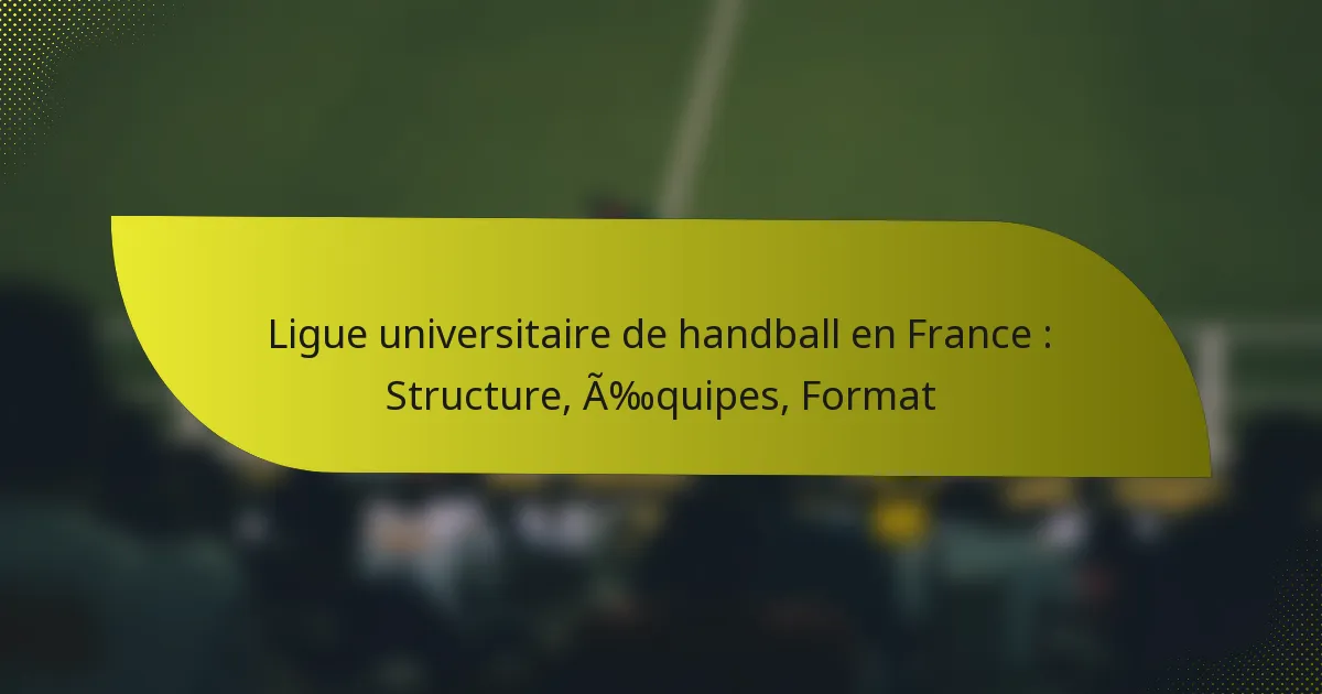Ligue universitaire de handball en France : Structure, Équipes, Format