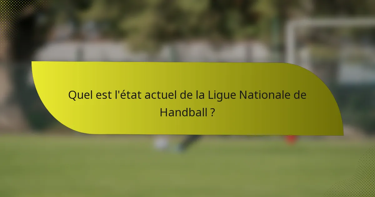Quel est l'état actuel de la Ligue Nationale de Handball ?