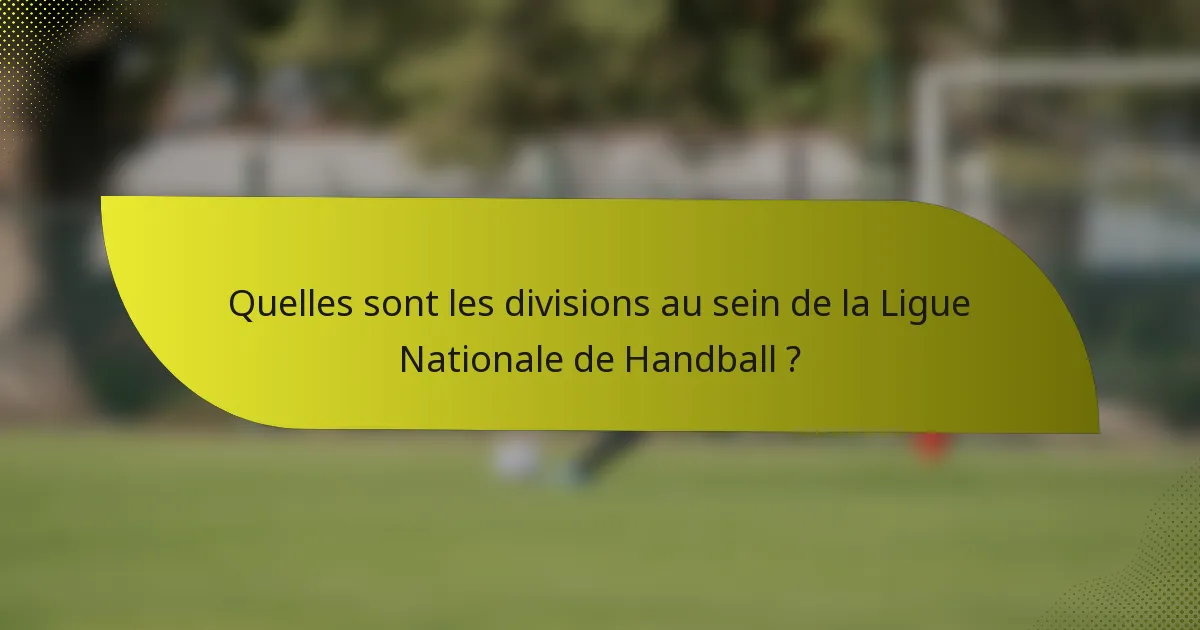 Quelles sont les divisions au sein de la Ligue Nationale de Handball ?