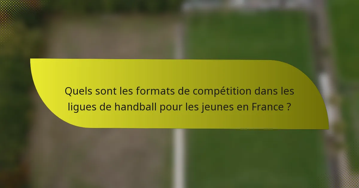 Quels sont les formats de compétition dans les ligues de handball pour les jeunes en France ?