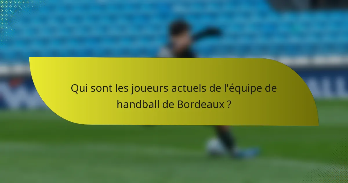 Qui sont les joueurs actuels de l'équipe de handball de Bordeaux ?